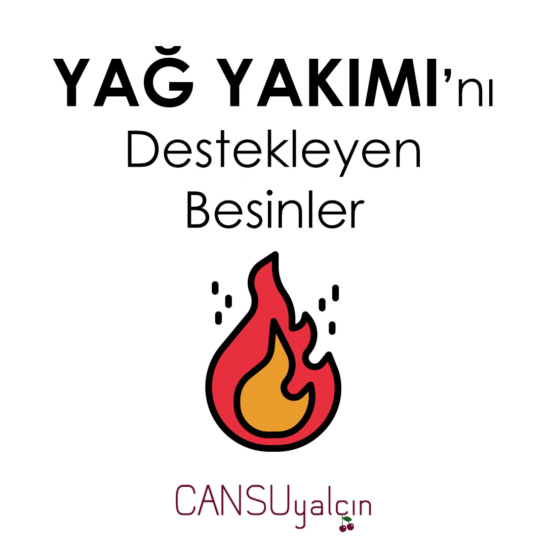 YAĞ YAKIMINI DESTEKLEYEN BESİNLER